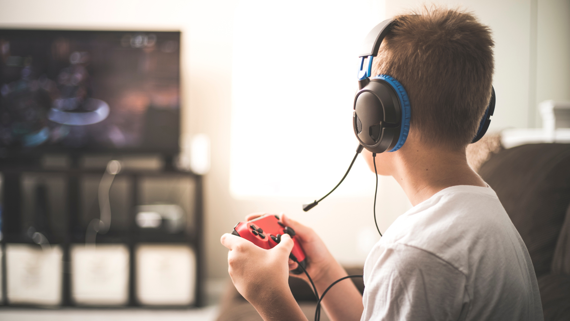 Access Alert  European Parliament calling for new gaming
